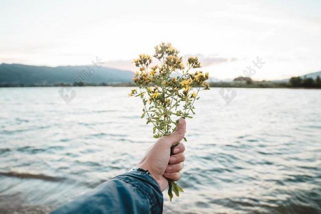 摄影唯美手拿鲜花花束背景图片
