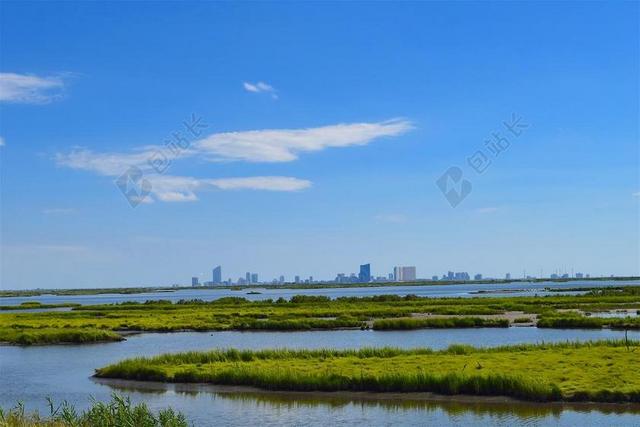 江滩 河口 水 草 晚间 自然 马什 绿色 景观 海岸