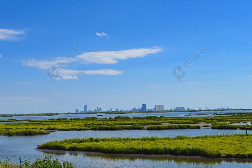 江滩 河口 水 草 晚间 自然 马什 绿色 景观 海岸