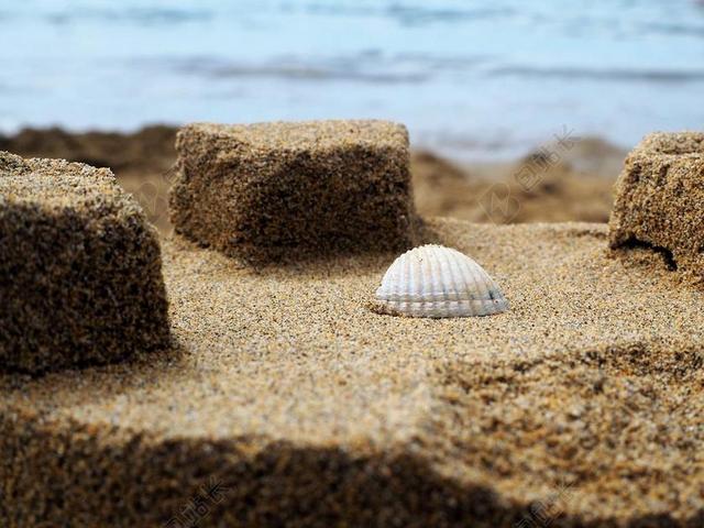 海滩 沙 海 海滩的沙子 沙滩 水 外壳 海边 滩海 贝壳