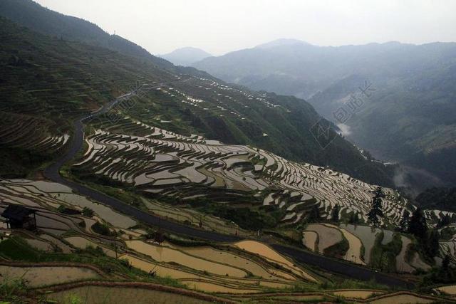 风景 梯田 大自然 农场 绿色