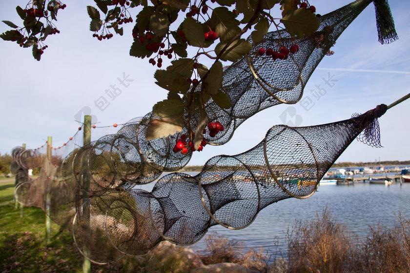 EAL 陷阱 干燥 渔业 HVIDOVRE 海港 丹麦 丹麦语