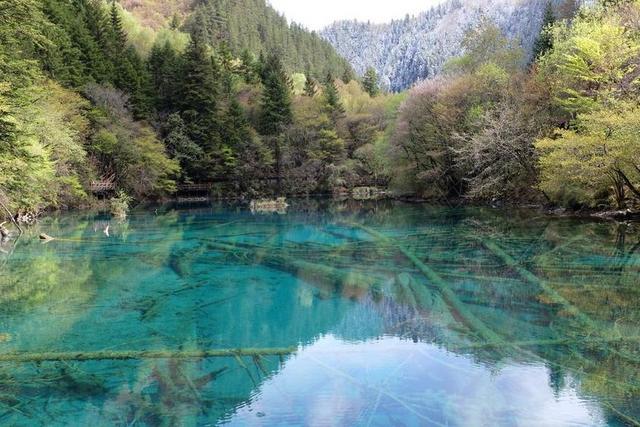 九寨沟 LAKE 四川 中国 风景