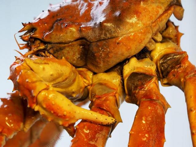 餐饮唯美帝王蟹背景图片
