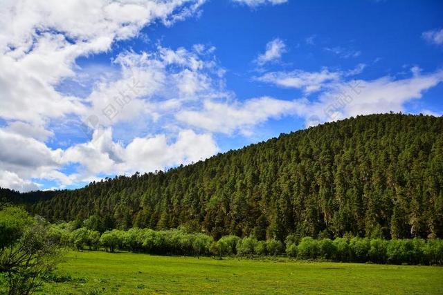 风景 香格里拉 普达措 电脑壁纸