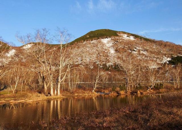 春天 山 乳头 边坡 雪 融雪景 雪松 性质 湖 海滩