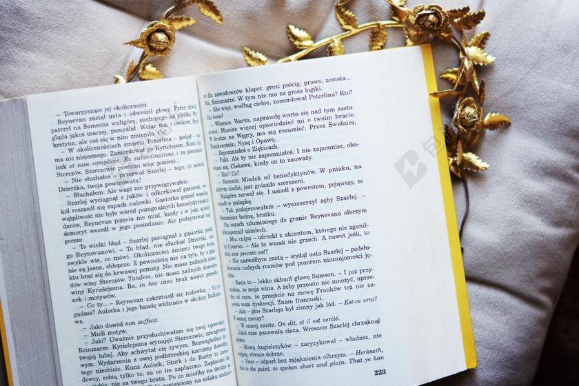 书 开放 打开书本 在撒谎 阅读 娱乐 休假 不错 装饰