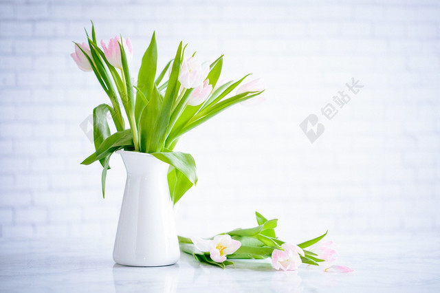 春天清新鲜花草地图片